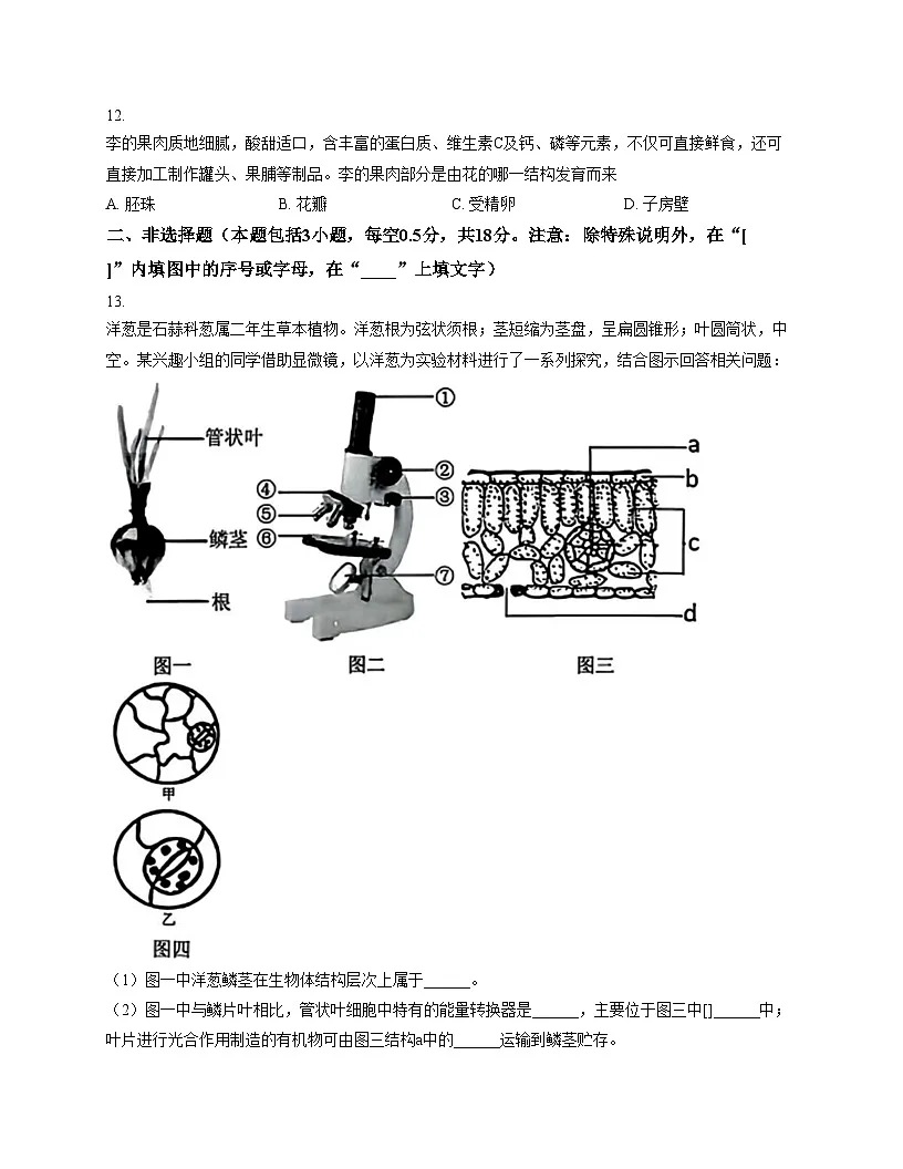 辽宁省抚顺市、铁岭市、葫芦岛市多校2025_2026学年七年级上学期第四次联考生物试题(文字版,含答案)第3页