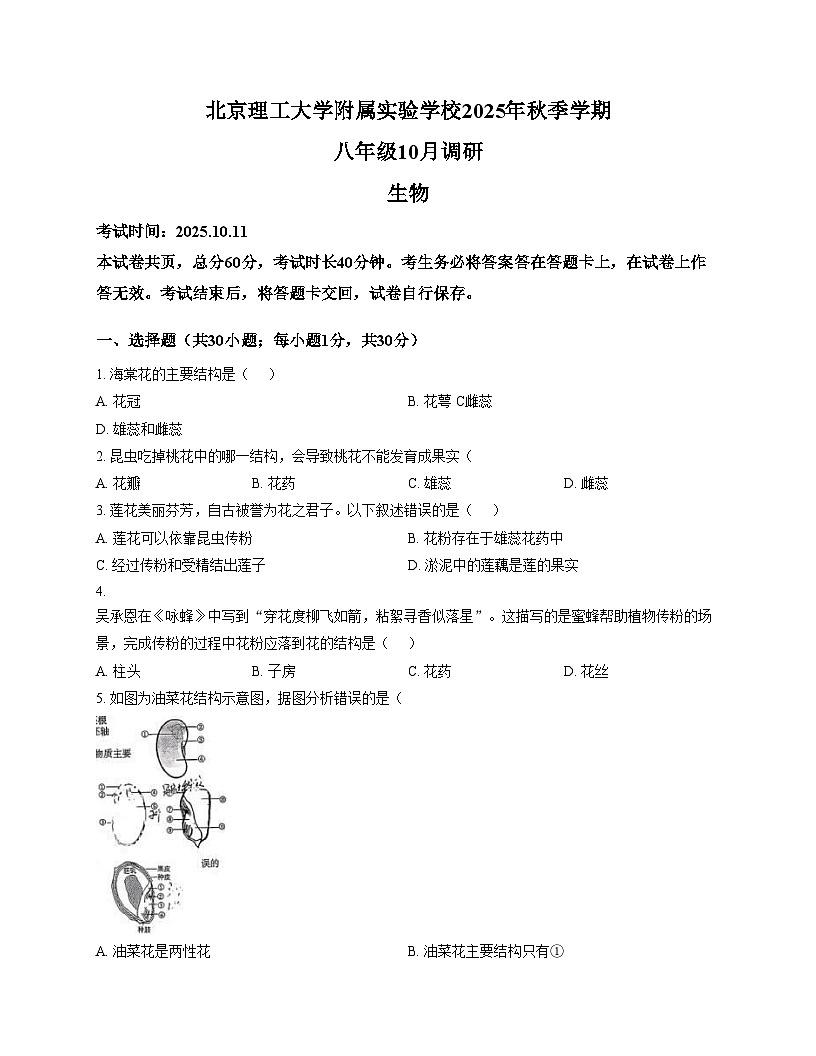 北京理工大学附属实验学校2025_2026学年八年级上学期10月月考生物试题(文字版,含答案)第1页