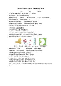 湖北省恩施2025-2026学年七年级上学期生物期末考试题卷（含答案）