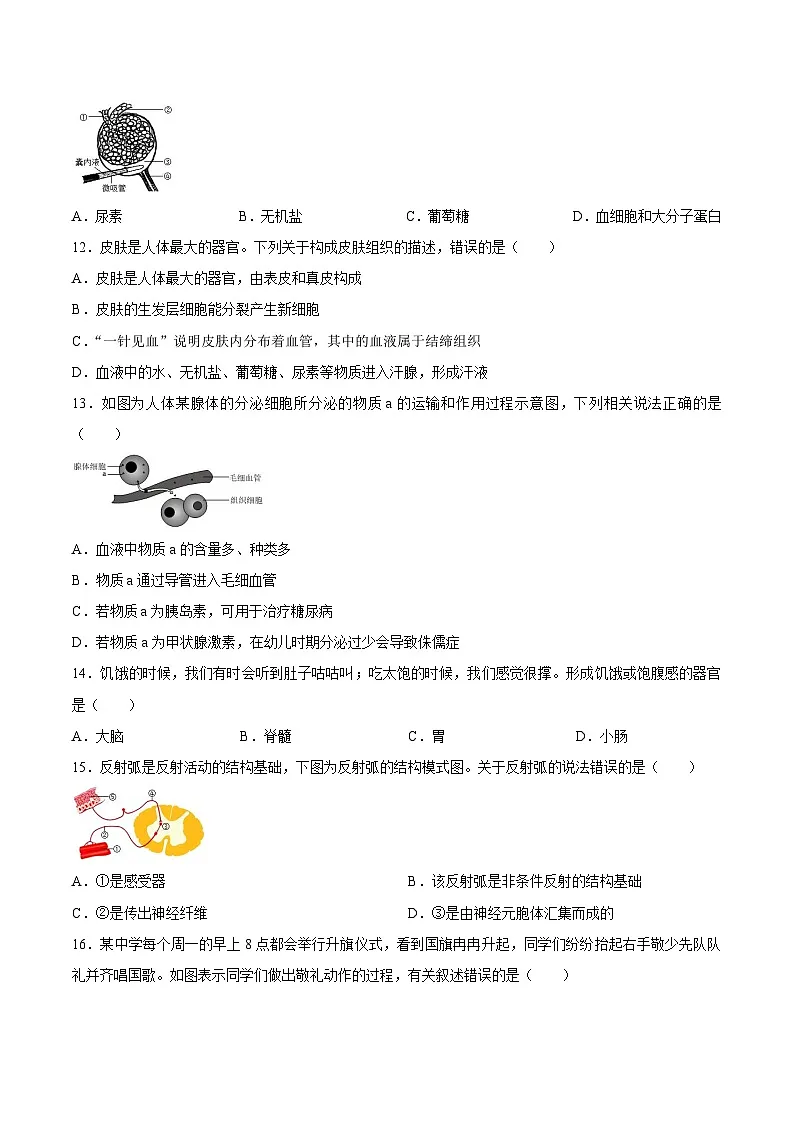 【试卷】四川省广安市邻水县2025-2026学年八年级上学期1月期末生物试题第3页