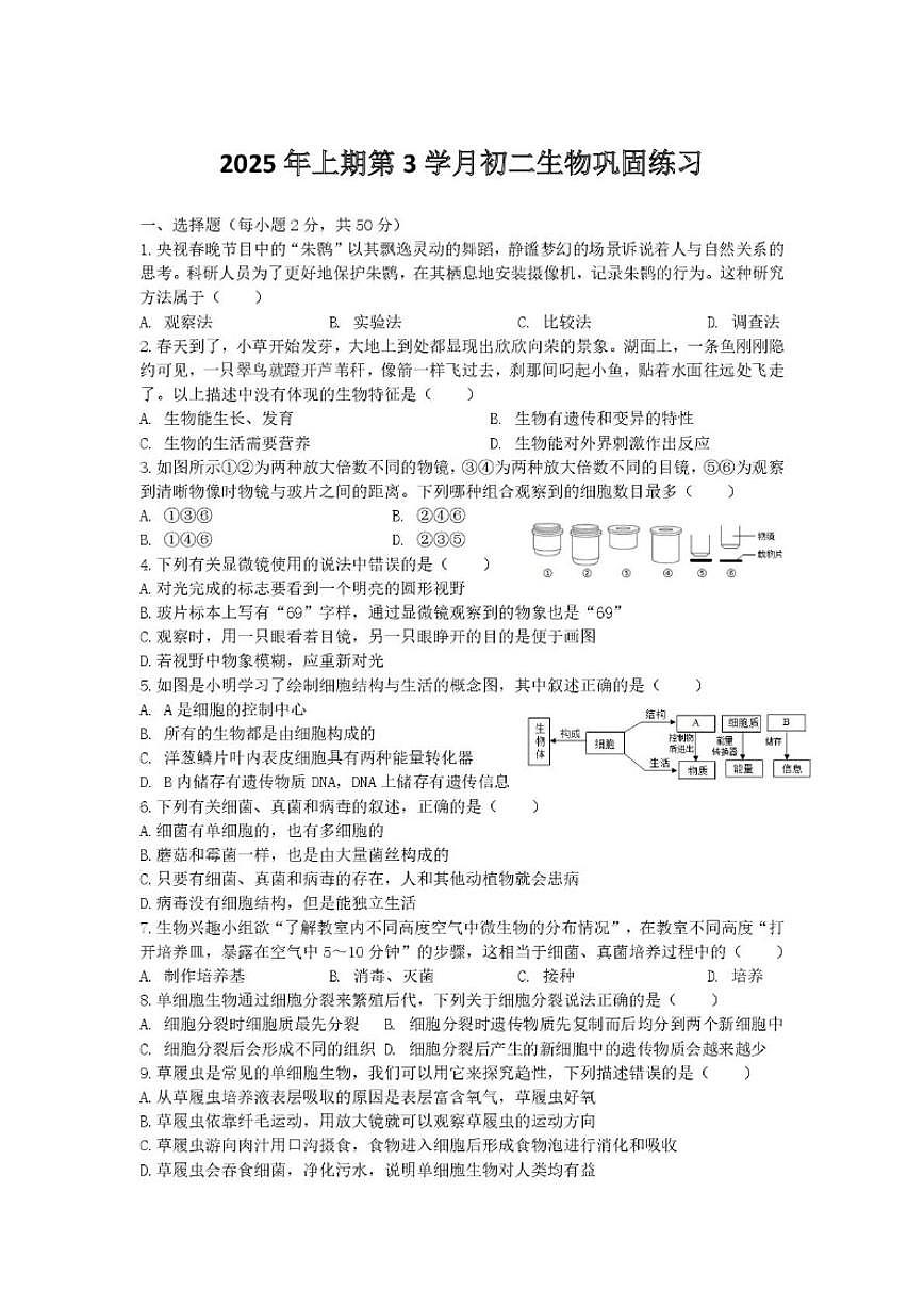 2025-2026学年四川省自贡市荣县中学校八年级上学期期末模拟考试生物试题(有答案)第1页