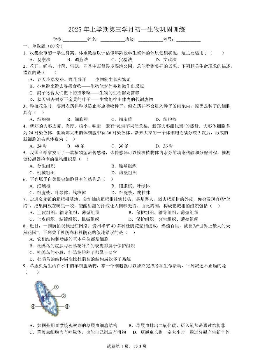 2025-2026学年四川省自贡市荣县中学校七年级上学期期末模拟考试生物试题(有答案)第1页
