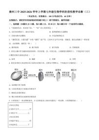 2025-2026学年福建省漳州市芗城区第三中学七年级上学期月考生物试题（三）（有答案）