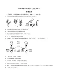 2025-2026学年安徽省淮南市西部地区七年级上学期12月月考生物试卷（有答案）
