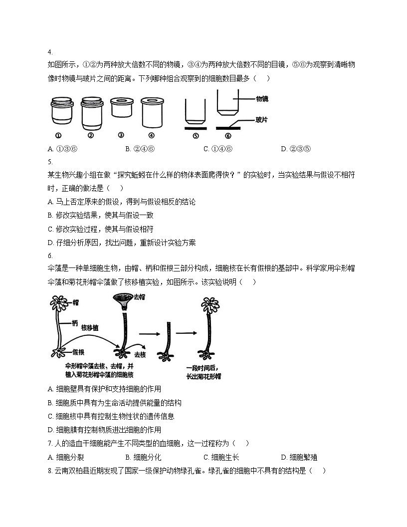辽宁省大连名校联盟2025_2026学年七年级上学期生物期中试题(二) (文字版,含答案)第2页