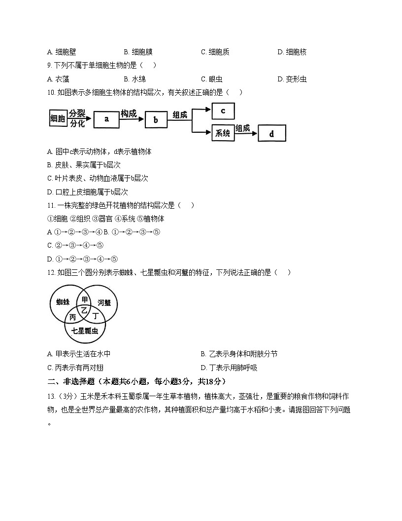 辽宁省大连名校联盟2025_2026学年七年级上学期生物期中试题(二) (文字版,含答案)第3页