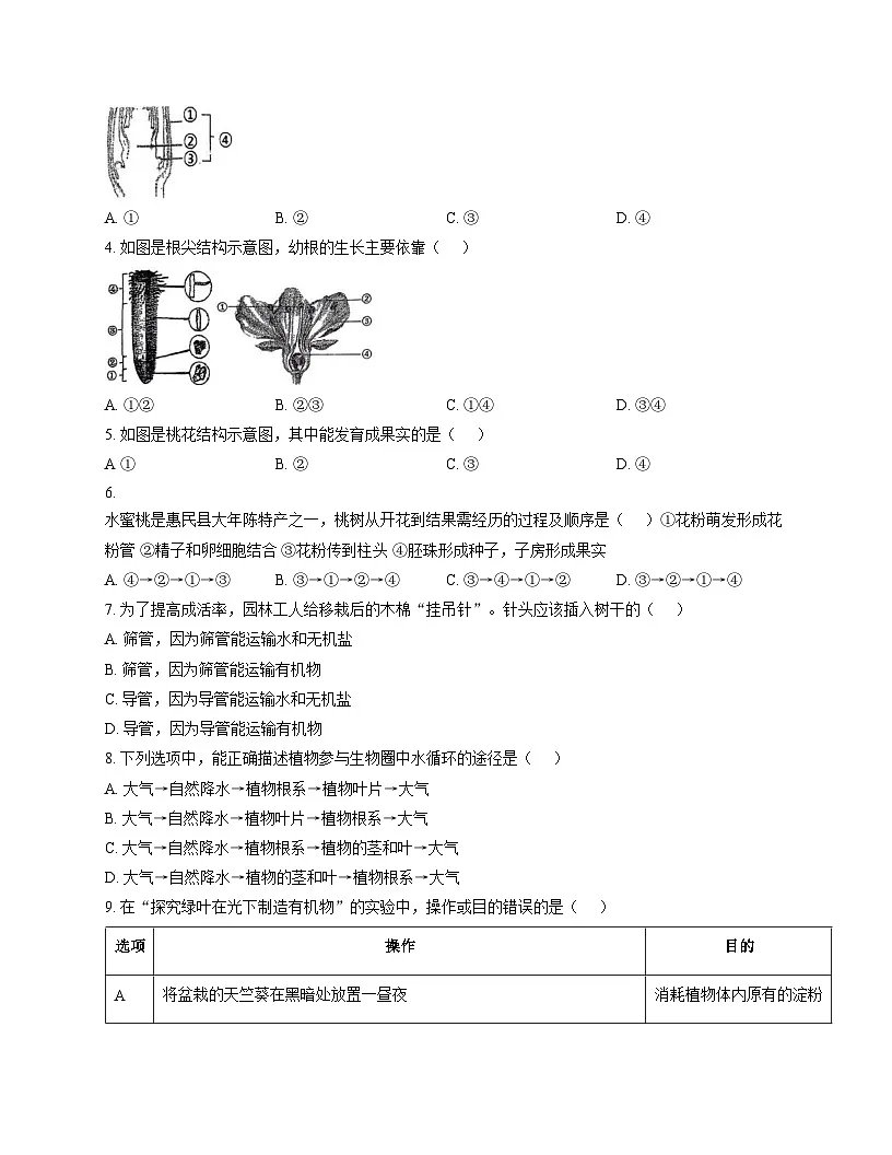 广东省揭阳市第二实验中学2025_2026学年九年级上学期第二次月考生物试卷(文字版,含答案)第2页