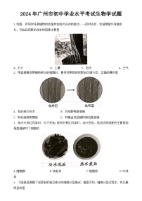 2024年广东省广州市初中学业水平考试生物学试题-A4