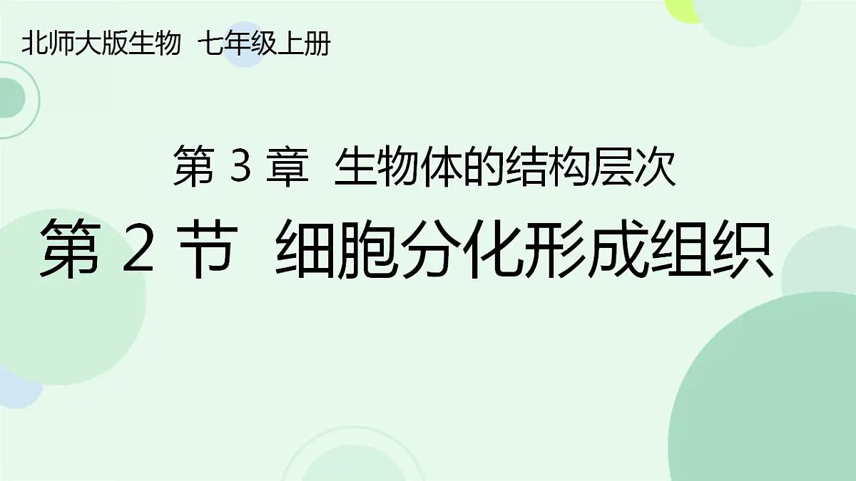 17867601第1页