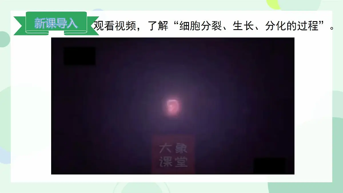 17867601第3页