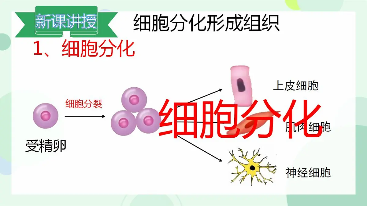 17867601第4页