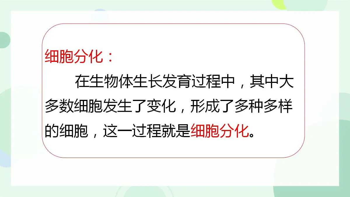 17867601第5页