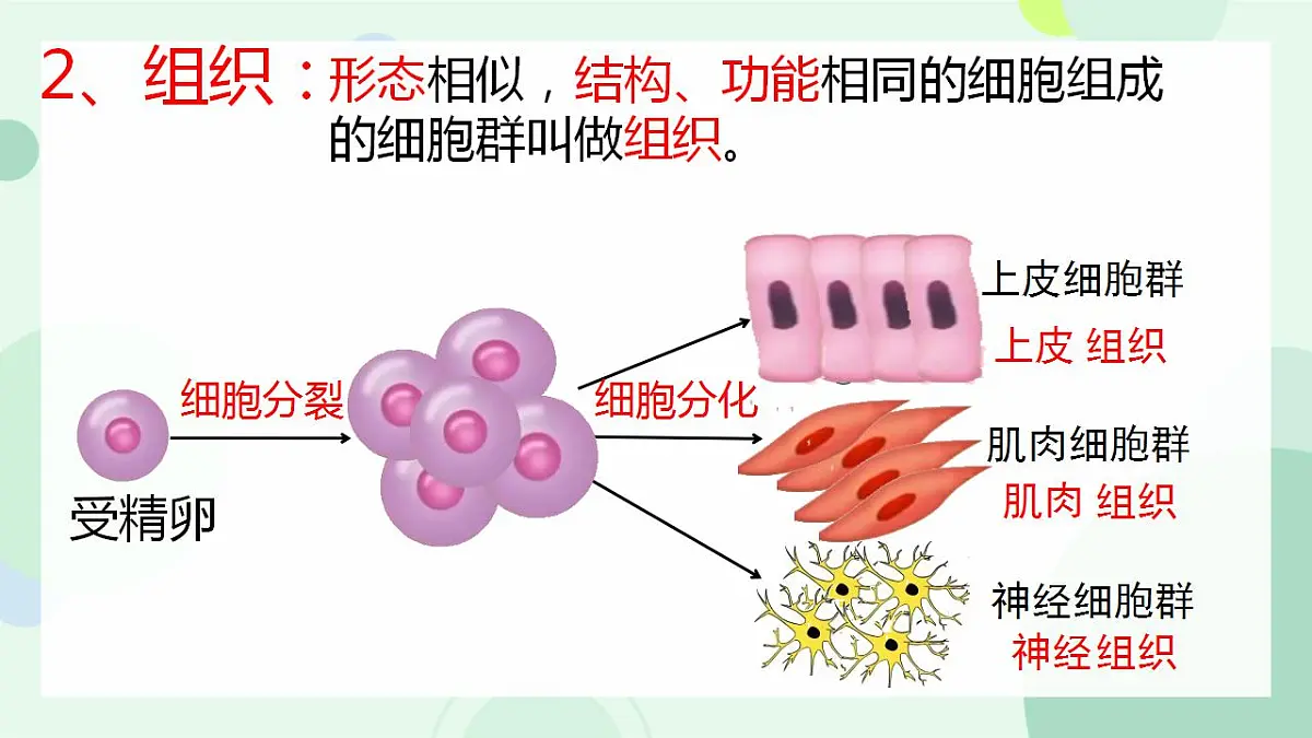 17867601第7页