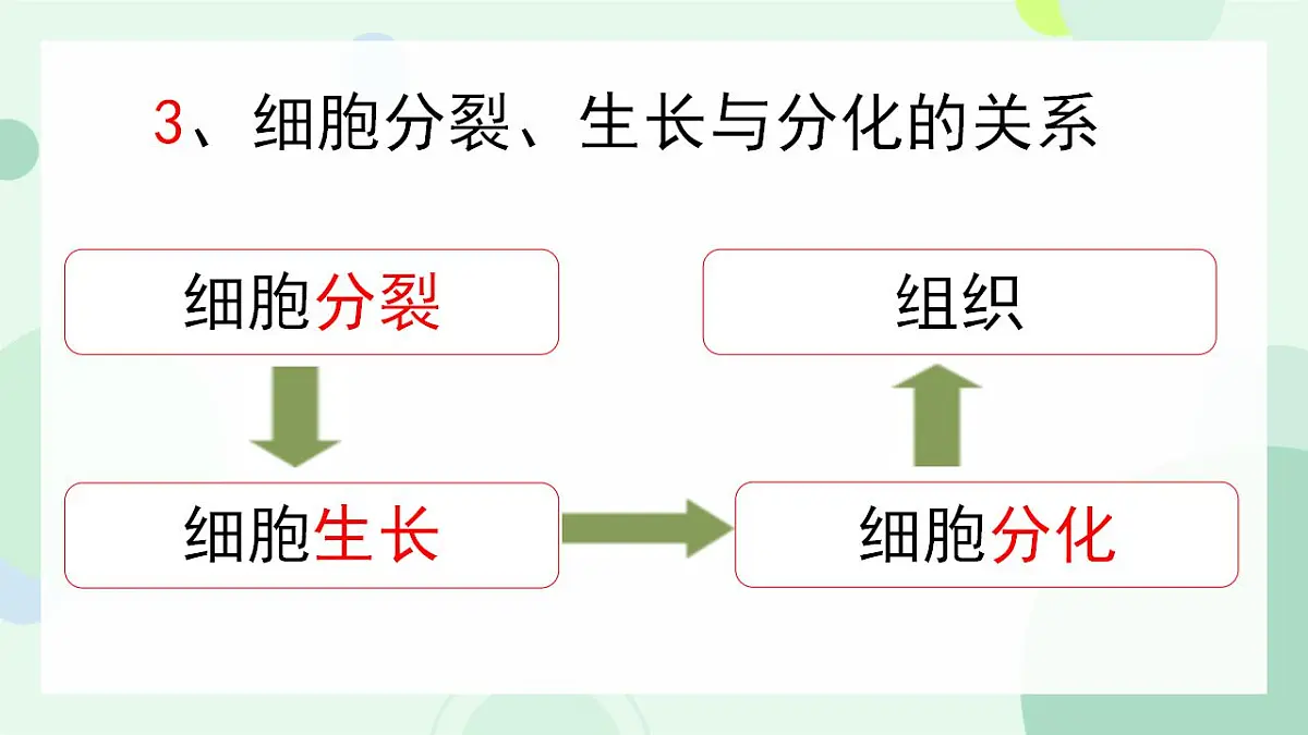 17867601第8页