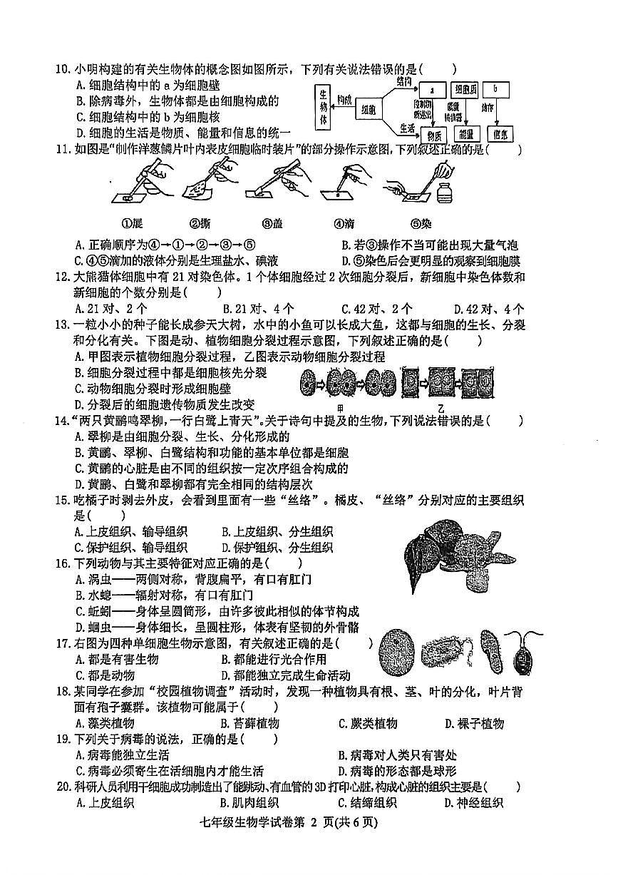 四川省达州市达川区2025-2026学年教学质量检测七年级上学期期末生物试题(附答案)第2页