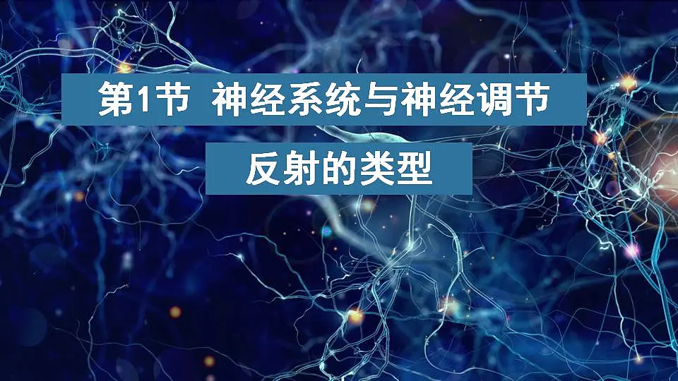 17868333第1页
