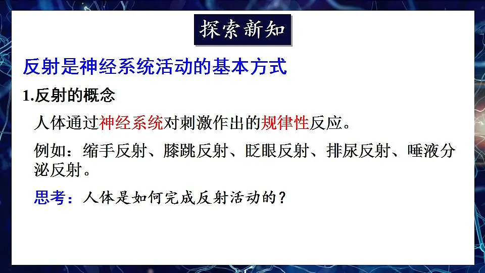 17868333第3页