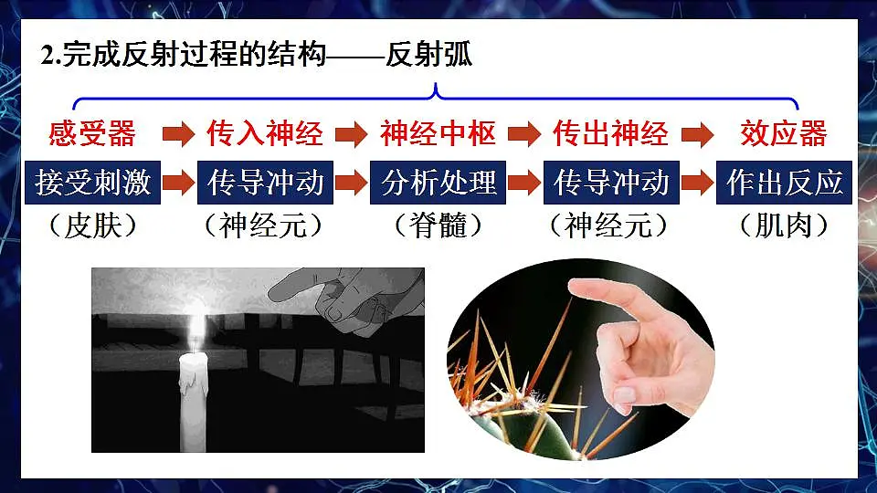17868333第4页