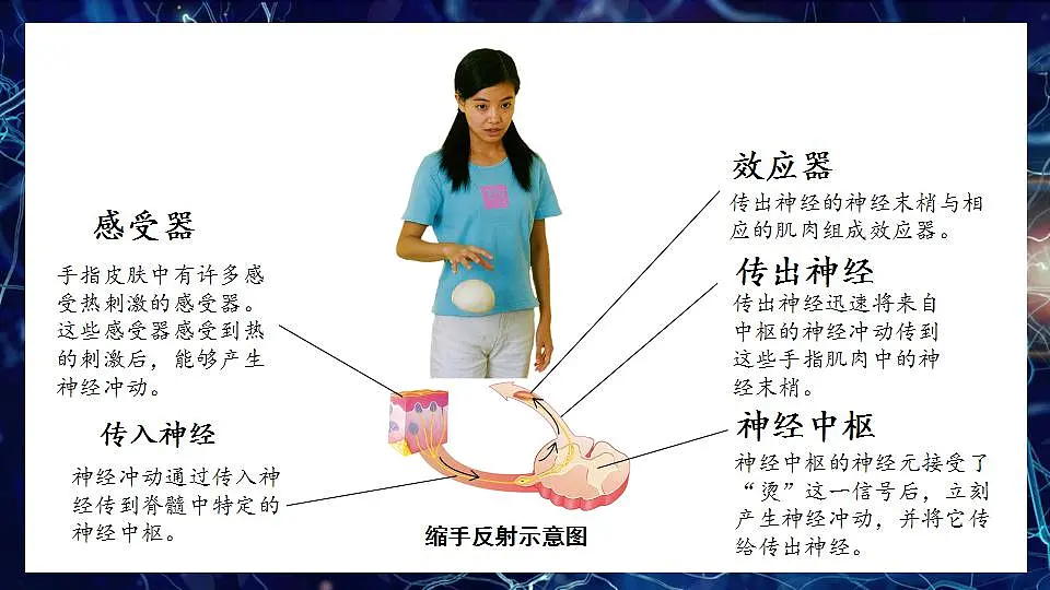 17868333第6页