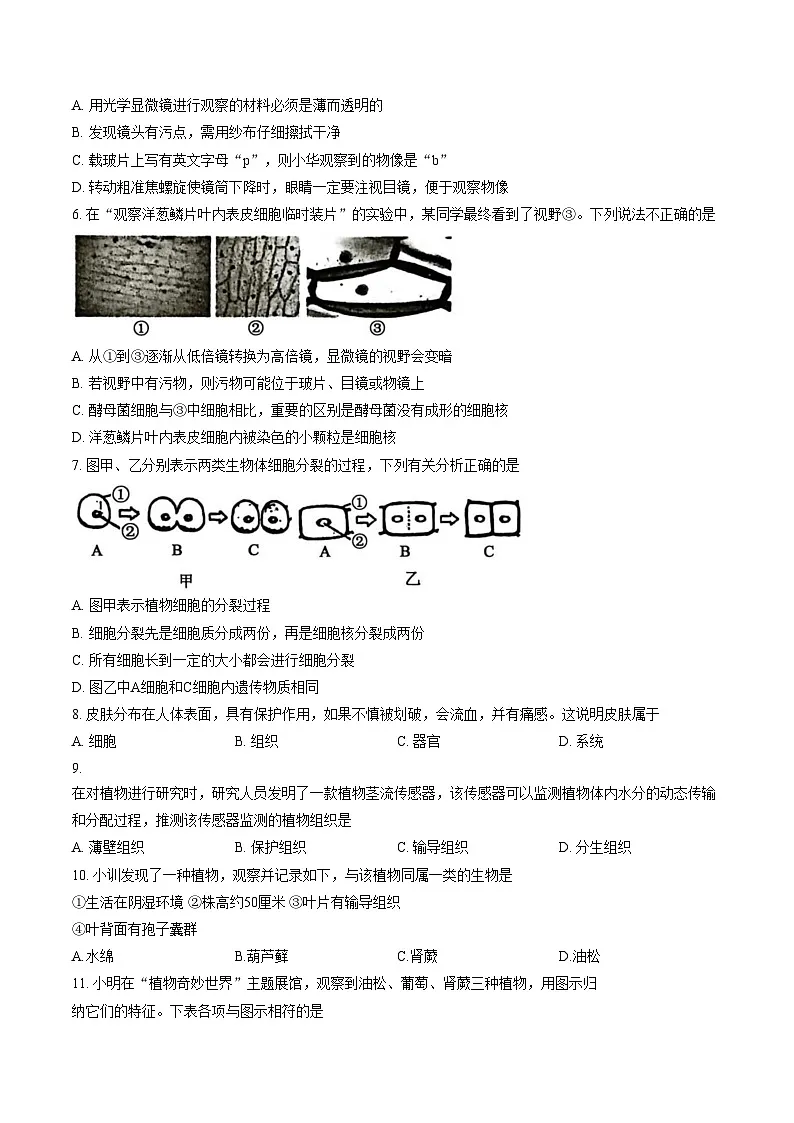 山东省济宁市梁山县2025__2026学年七年级上学期期末生物试题(文字版,含答案)第2页
