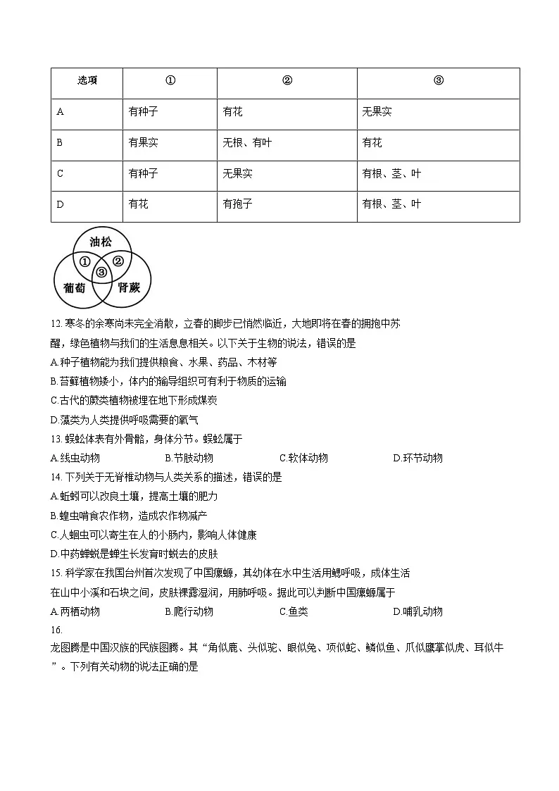 山东省济宁市梁山县2025__2026学年七年级上学期期末生物试题(文字版,含答案)第3页