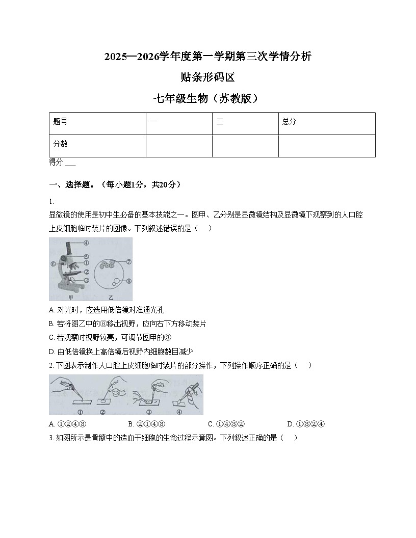 河南省周口市鹿邑县2025_2026学年七年级上学期12月月考生物试卷(文字版,含答案)第1页