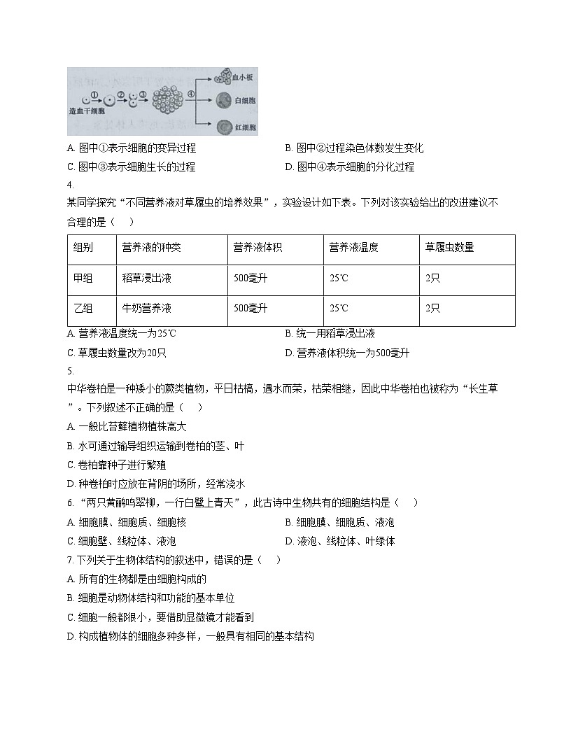 河南省周口市鹿邑县2025_2026学年七年级上学期12月月考生物试卷(文字版,含答案)第2页