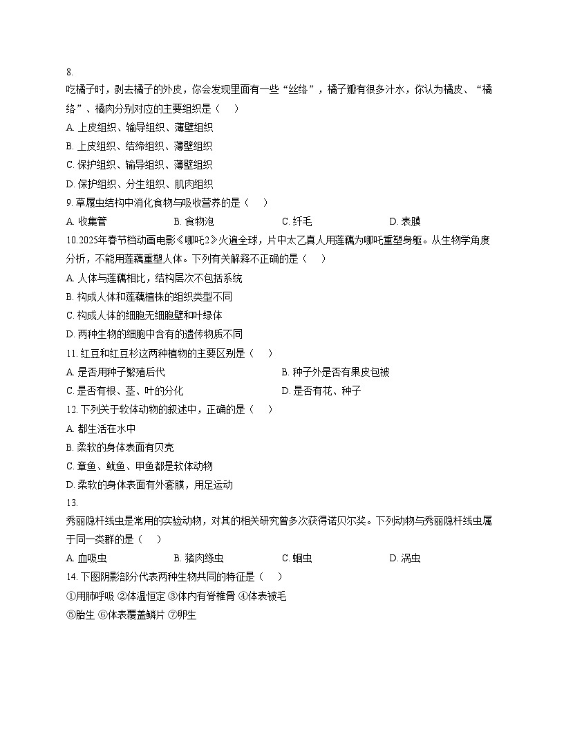 河南省周口市鹿邑县2025_2026学年七年级上学期12月月考生物试卷(文字版,含答案)第3页