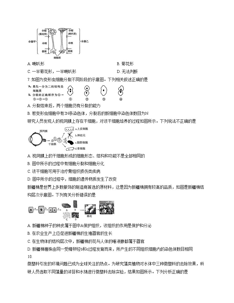 河北省邢台市2025_2026学年七年级上学期12月月考生物试题(文字版,含答案)第2页