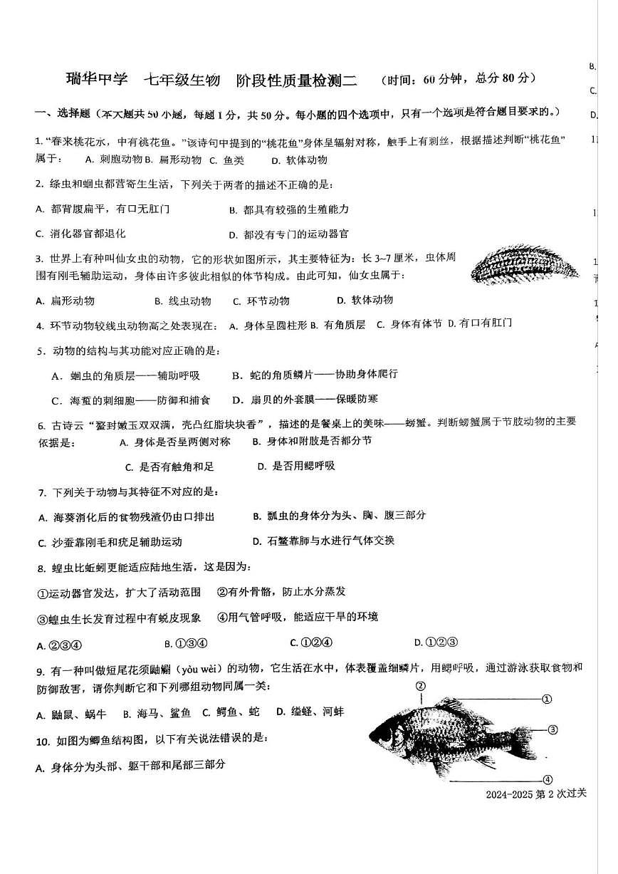 山东省青岛市胶州市瑞华实验初级中学2024-2025学年七年级上学期12月月考生物试题(含解析)第1页