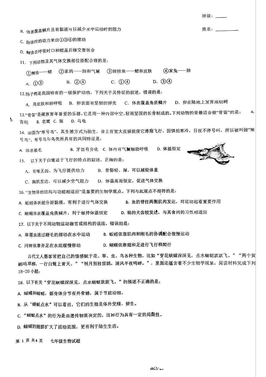 山东省青岛市胶州市瑞华实验初级中学2024-2025学年七年级上学期12月月考生物试题(含解析)第2页