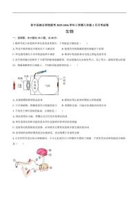 安徽省黄山市休宁县部分校联考2025-2026学年八年级上学期1月月考生物试题（含答案）