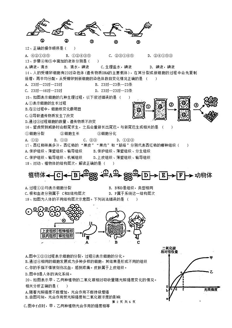 广东省揭阳市惠来县第一中学2024-2025学年七年级上学期1月期末生物试题-A4第2页