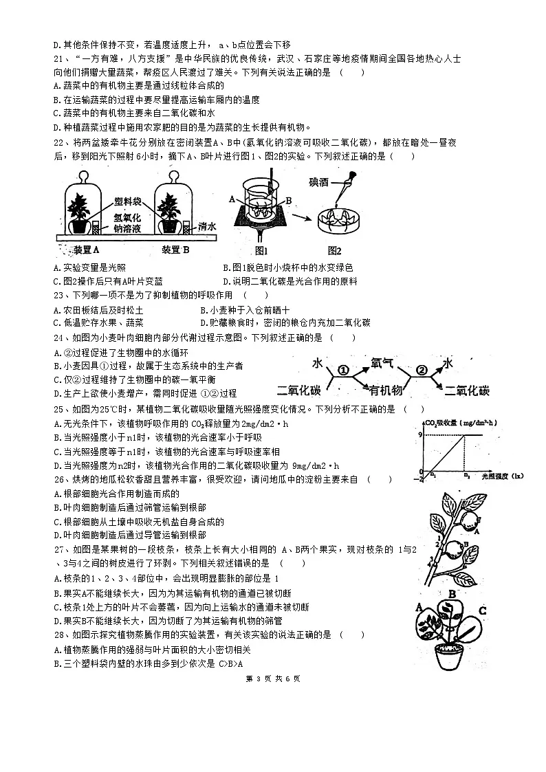 广东省揭阳市惠来县第一中学2024-2025学年七年级上学期1月期末生物试题-A4第3页