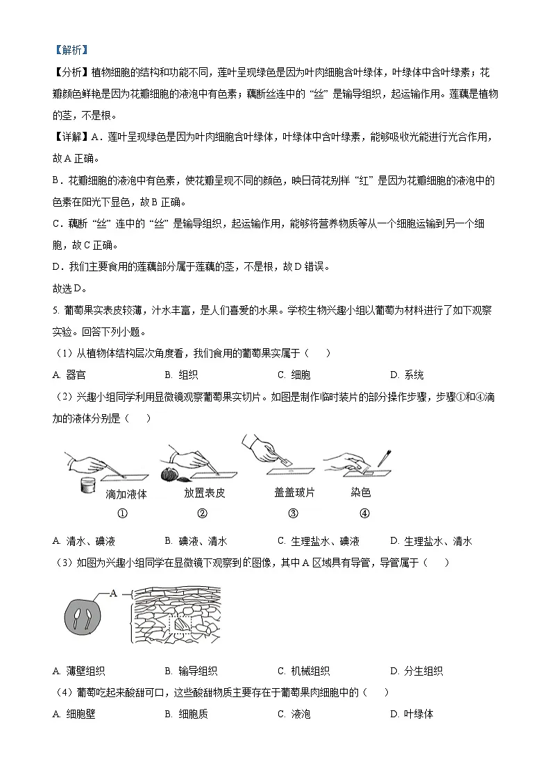 广东省潮州市潮安区七年级上学期期末生物试题(解析版)-A4第3页