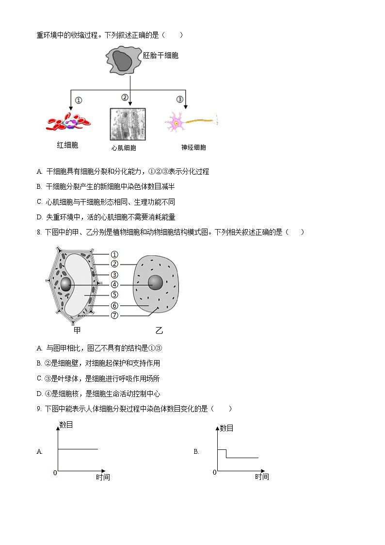 广东省潮州市潮安区七年级上学期期末生物试题(原卷版)-A4第3页