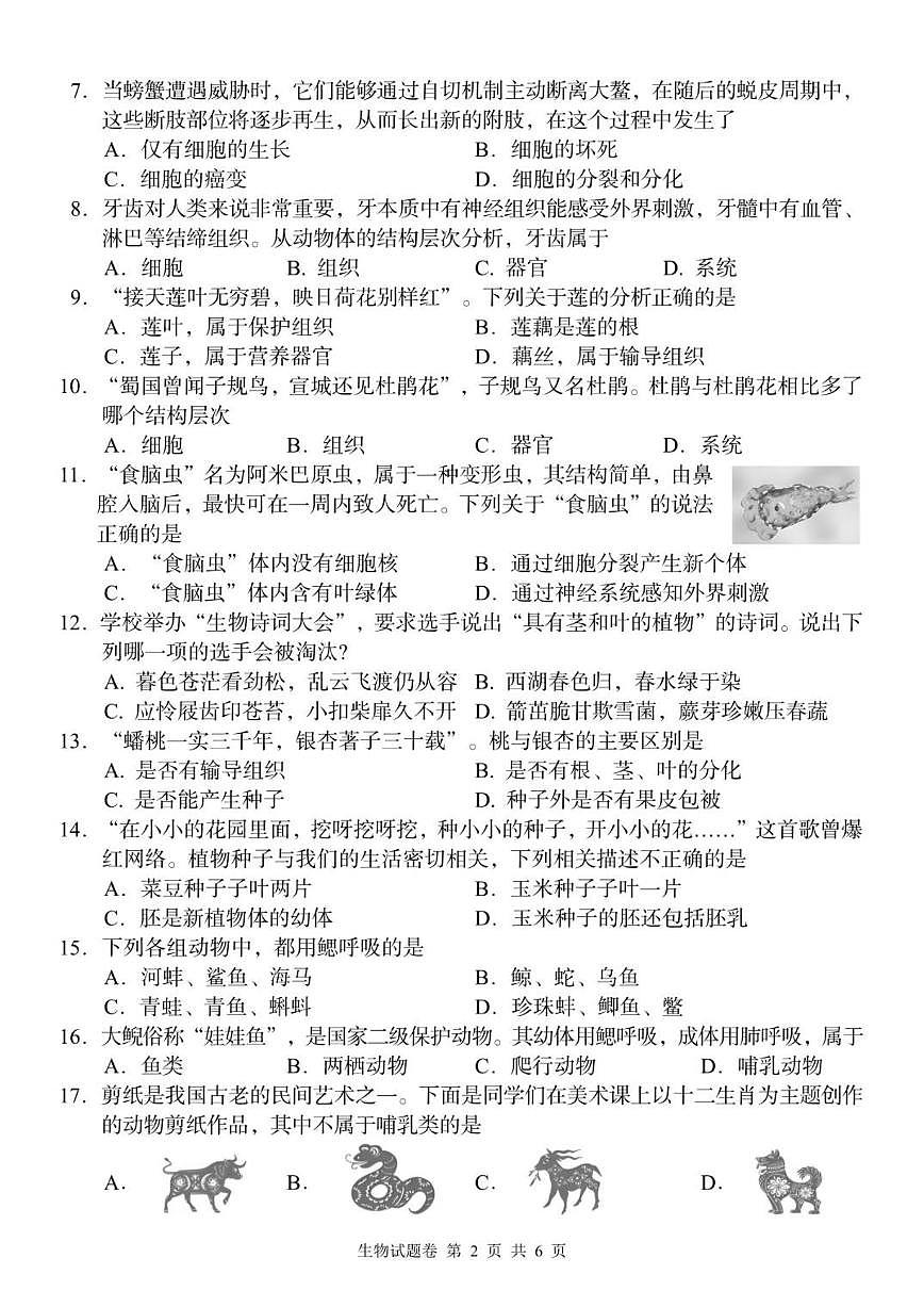 洪江市2025年七年级上学期期末教学质量监测生物学试卷(含答案)第2页