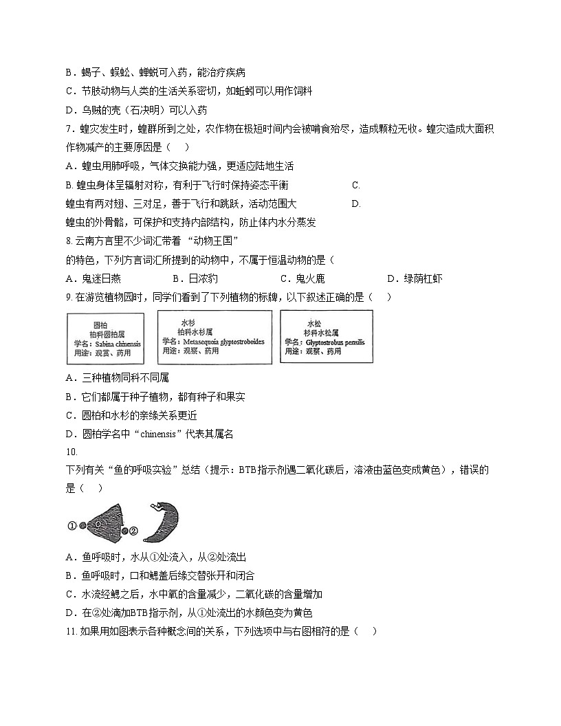 山东省日照市日照港中学2025_2026学年上学期七年级12月月考生物试题 (文字版,含答案)第2页