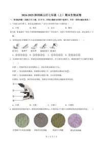 2024-2025学年深圳市南山区七年级上册期末生物试卷含答案
