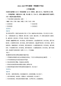 广东省茂名市电白区八年级上学期期中生物学试题（解析版）-A4