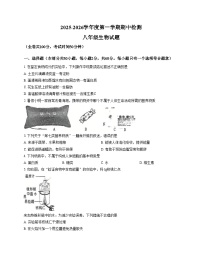 江苏省徐州市鼓楼区东苑中学2025_2026学年八年级上学期11月期中考试生物试题（文字版，含答案）