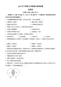 湖南省娄底市2025-2026学年七年级上学期期末生物学试题（原卷版+解析版）