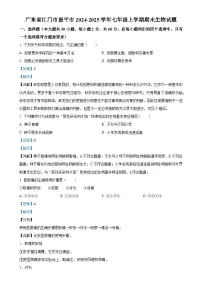 广东省江门市恩平市七年级上学期期末生物试题（解析版）-A4