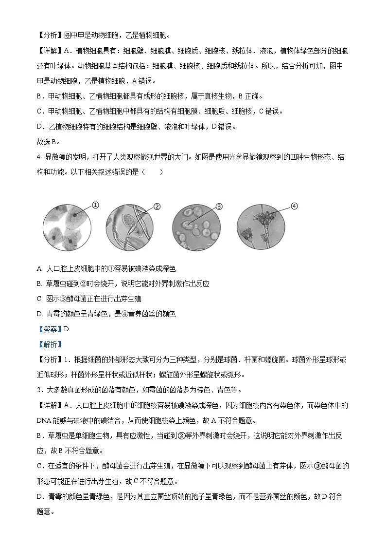 广东省深圳市罗湖区七年级上学期期末生物试题(解析版)-A4第3页