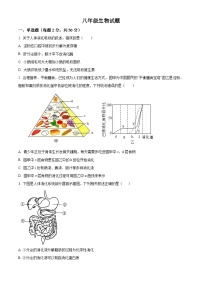 山东省济宁市金乡县2025-2026学年八年级上学期期末生物学试题（原卷版+解析版）