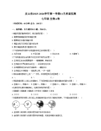 新疆维吾尔自治区和田地区皮山县2025_2026学年七年级上学期12月月考生物试题（文字版，含答案）