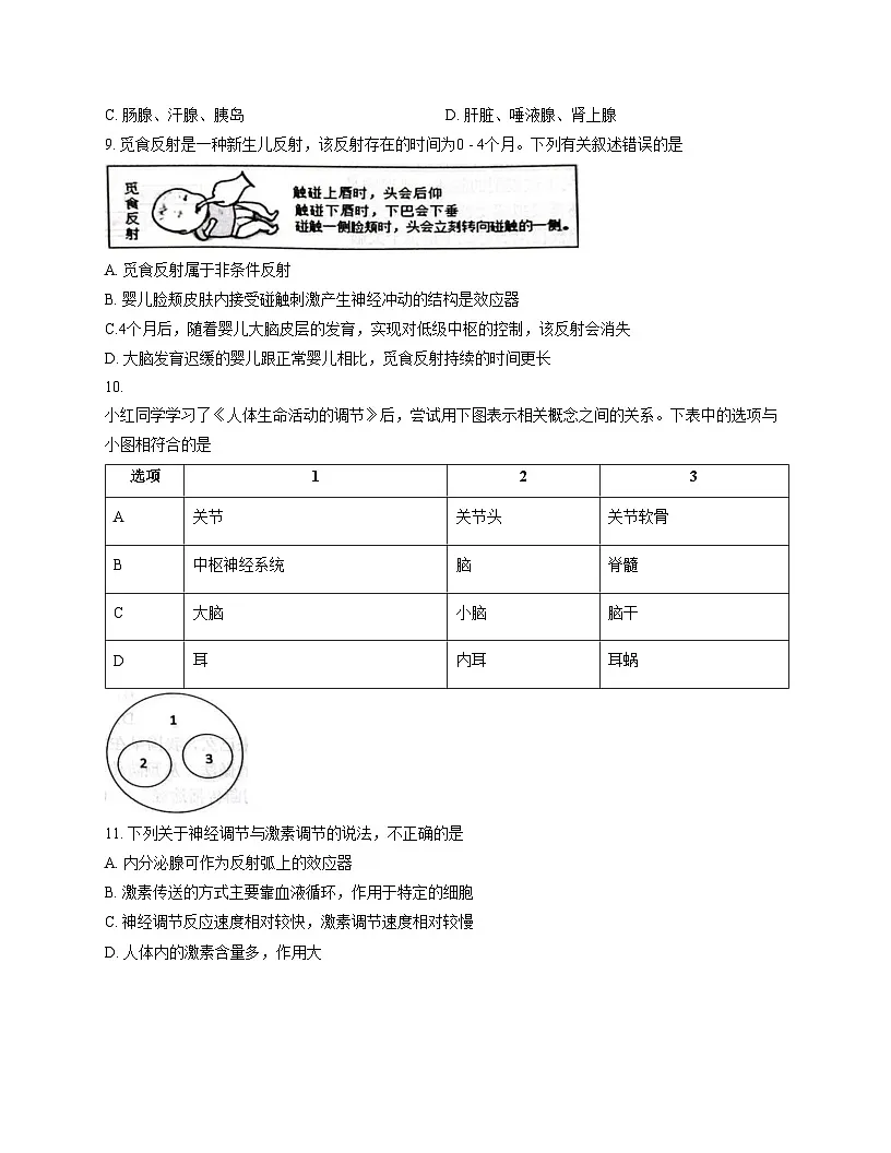 山东省临沂市河东区2025_2026学年八年级上学期生物期中试题(文字版,含答案)第3页