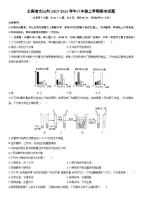 云南省文山州2025--2026学年 八年级上学期期末生物试卷（学生版）