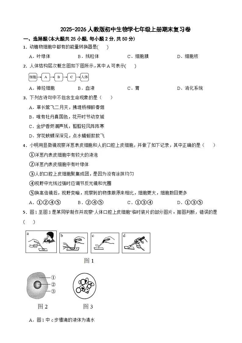 2025-2026人教版初中生物学七年级上册期末复习卷第1页