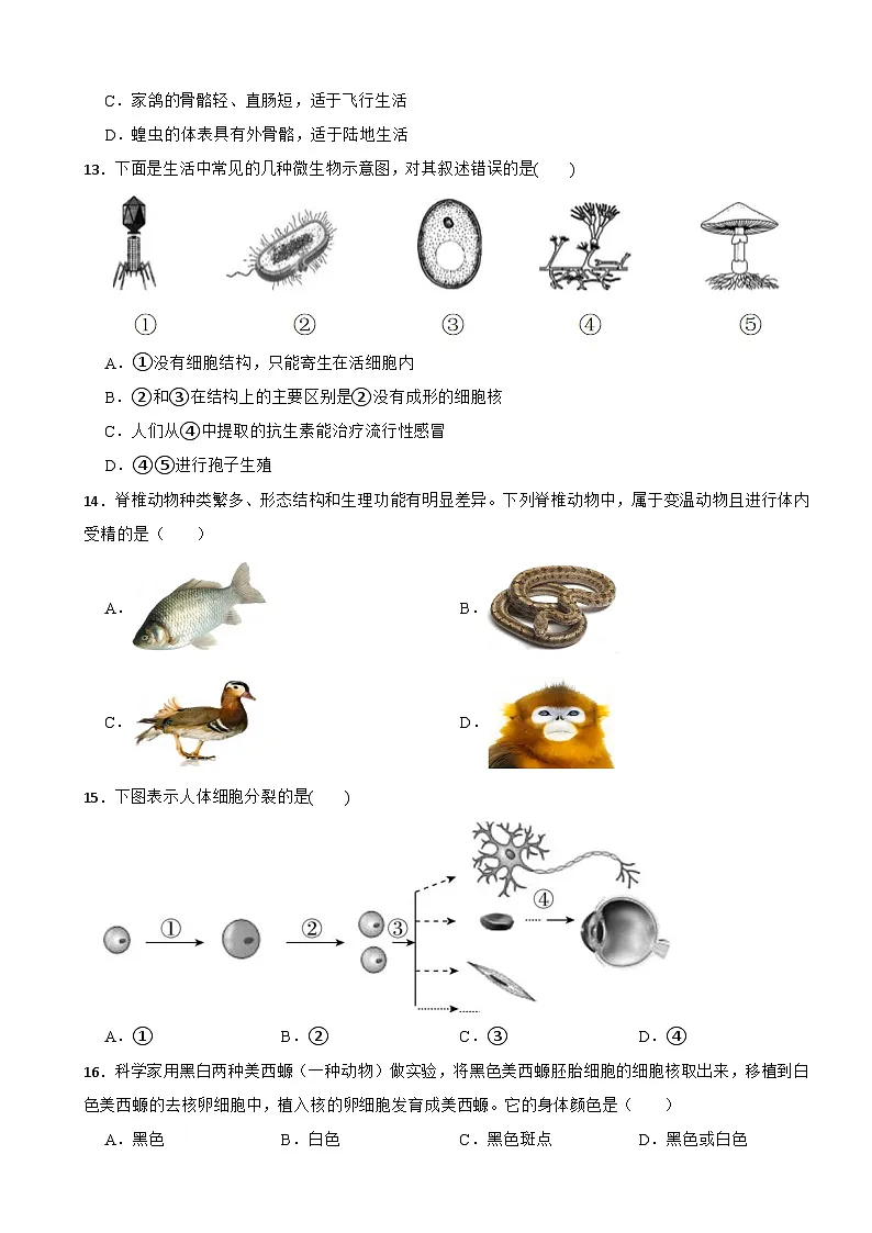 2025-2026人教版初中生物学七年级上册期末复习卷第3页